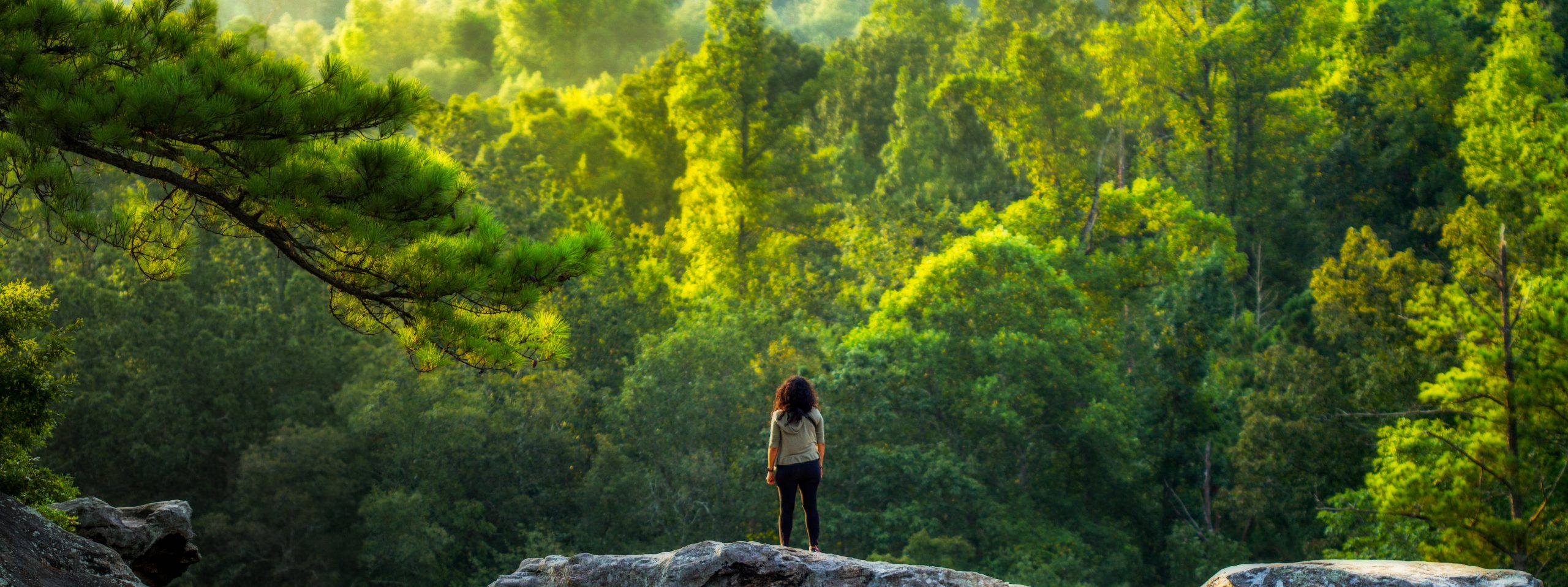 A young female hiker takes a break to enjoy a forest view.